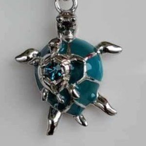 Turtle mother and baby